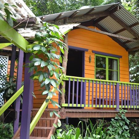 Rainforest Hideaway Кейп Трибулейшън Екстериор снимка