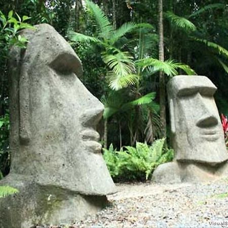 Rainforest Hideaway Кейп Трибулейшън Екстериор снимка