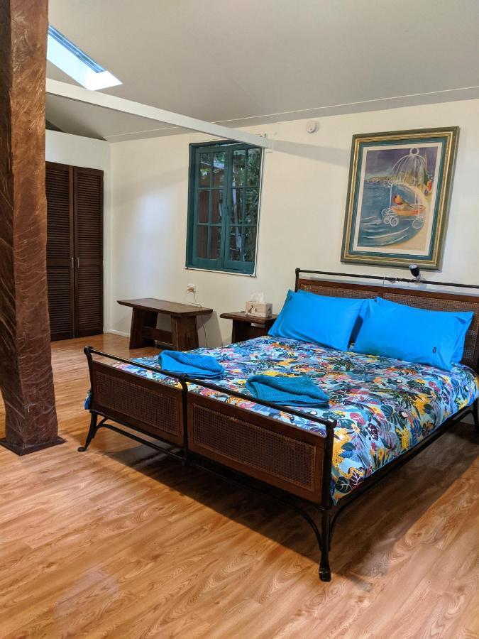 Rainforest Hideaway Кейп Трибулейшън Екстериор снимка