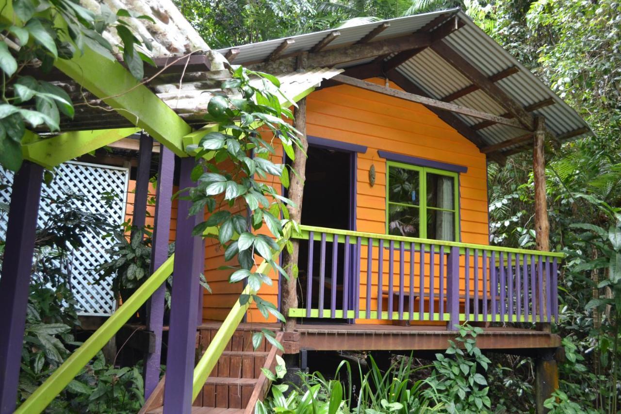 Rainforest Hideaway Кейп Трибулейшън Екстериор снимка