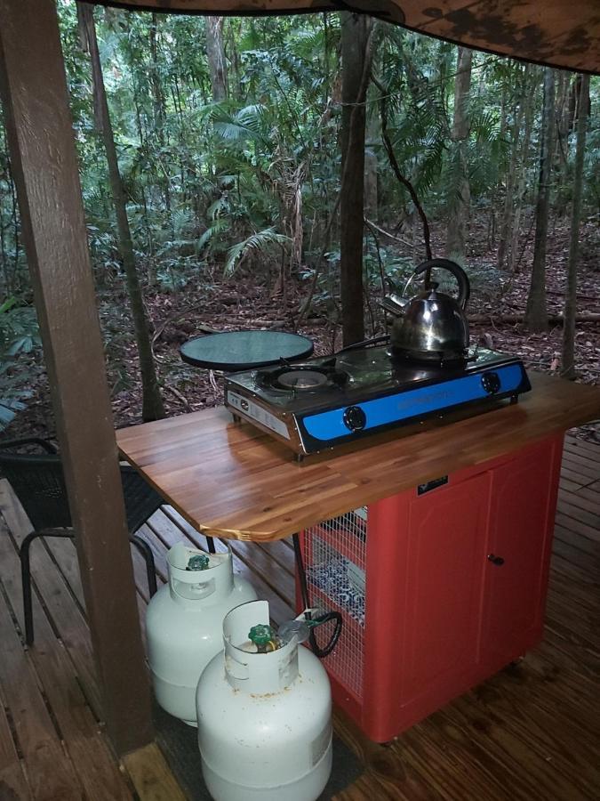 Rainforest Hideaway Кейп Трибулейшън Екстериор снимка