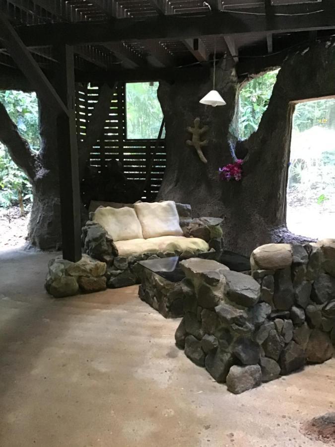 Rainforest Hideaway Кейп Трибулейшън Екстериор снимка