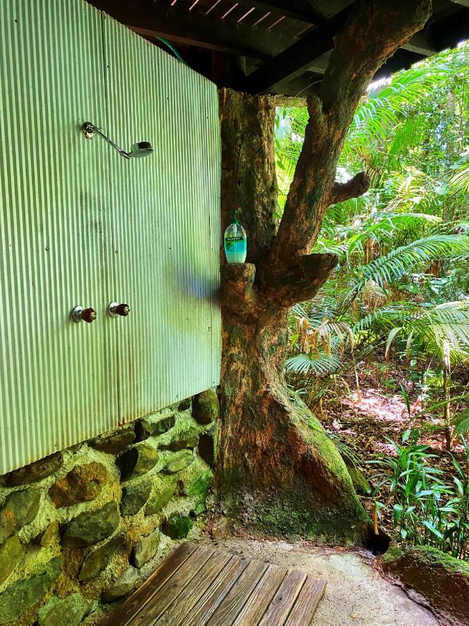 Rainforest Hideaway Кейп Трибулейшън Екстериор снимка