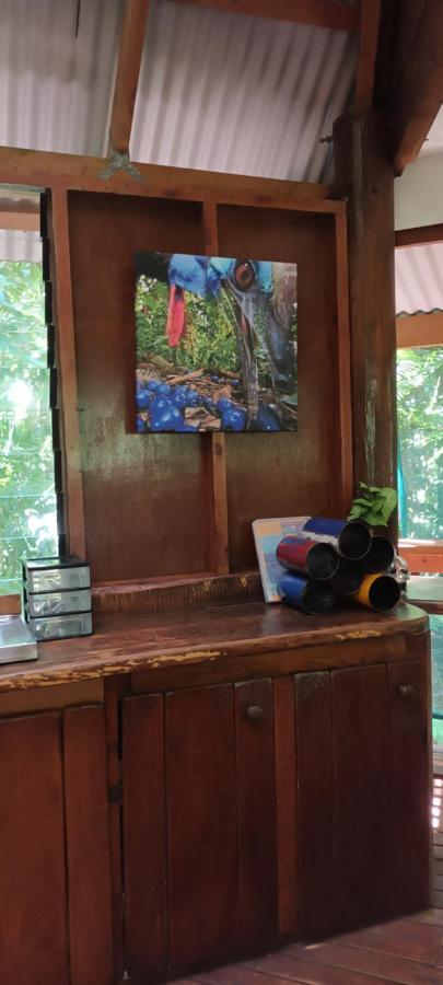Rainforest Hideaway Кейп Трибулейшън Екстериор снимка