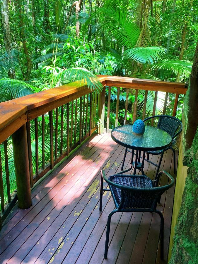 Rainforest Hideaway Кейп Трибулейшън Екстериор снимка
