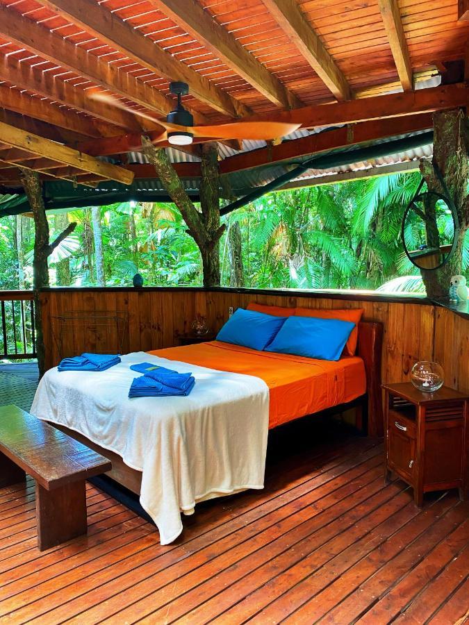 Rainforest Hideaway Кейп Трибулейшън Екстериор снимка