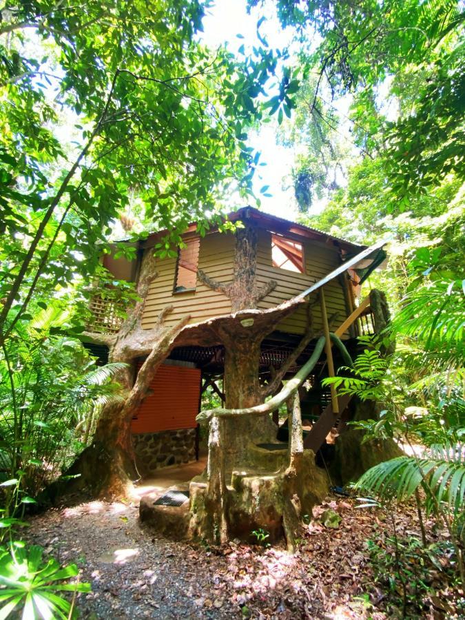 Rainforest Hideaway Кейп Трибулейшън Екстериор снимка