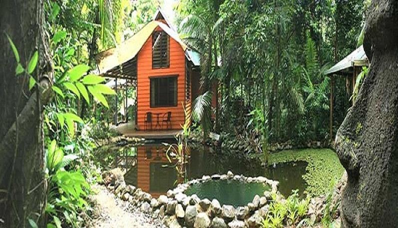 Rainforest Hideaway Кейп Трибулейшън Стая снимка