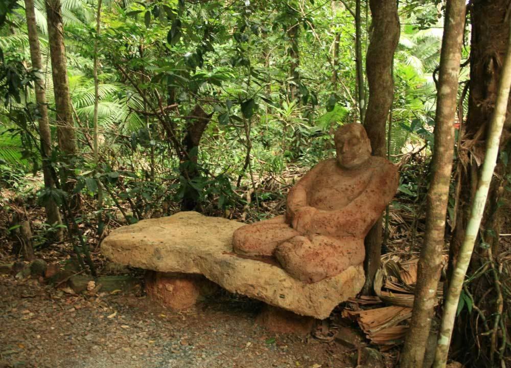 Rainforest Hideaway Кейп Трибулейшън Екстериор снимка