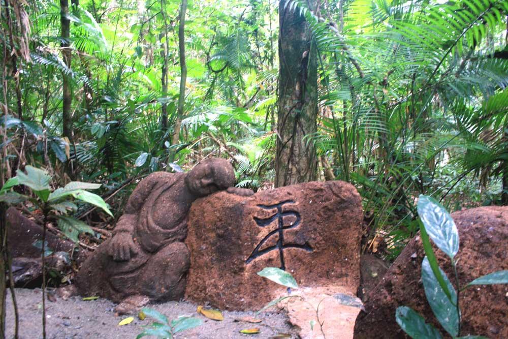 Rainforest Hideaway Кейп Трибулейшън Екстериор снимка