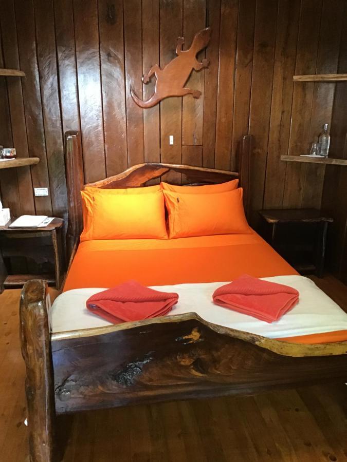 Rainforest Hideaway Кейп Трибулейшън Екстериор снимка