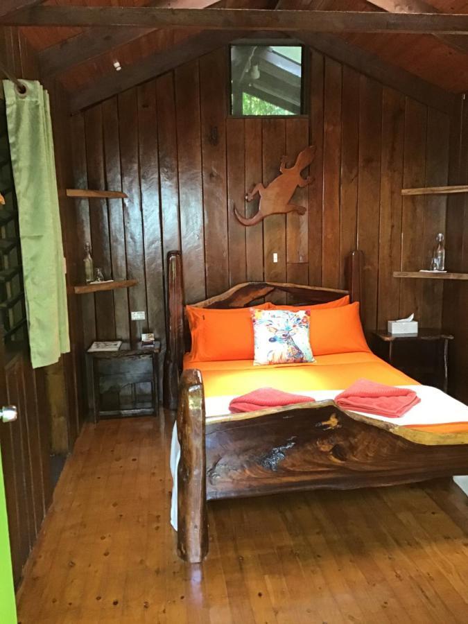 Rainforest Hideaway Кейп Трибулейшън Екстериор снимка